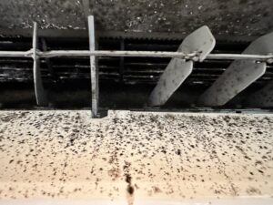 エアコンクリーニング 格安