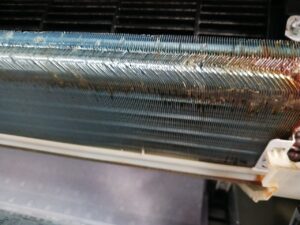 店舗 天井エアコンクリーニング